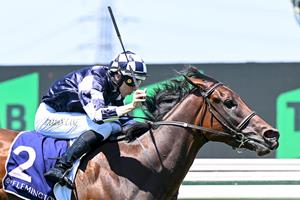 GUINEAS TILT UNLIKELY FOR SASS APPEAL